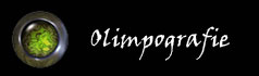 Click here to see the Olimpografie 